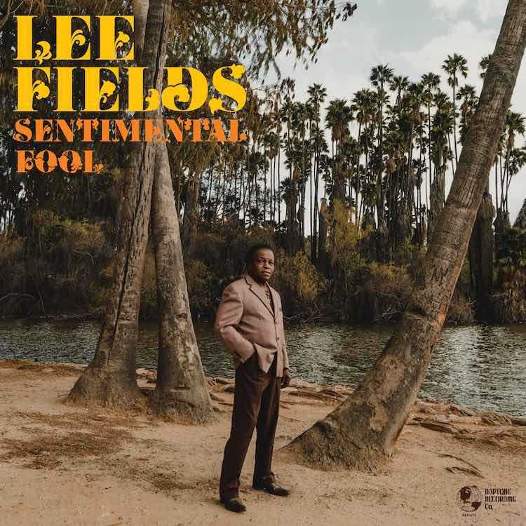 sentimentalFoolAlbumCover